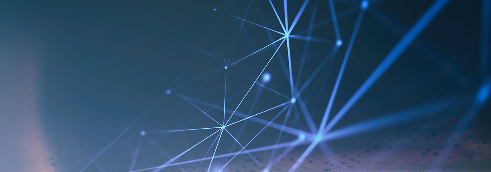 Our Organisation Structure