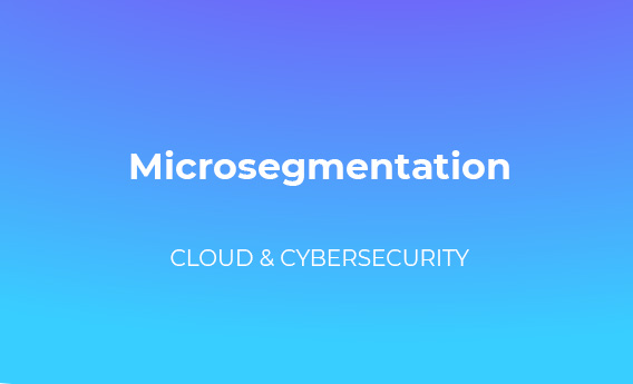 Are we missing the macro view on microsegmentation?
